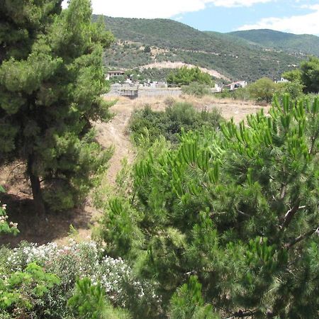 Aiolos Loutra Edipsou (Evia) Exterior foto